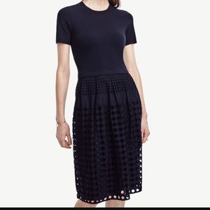 Ann Taylor knit lace dress